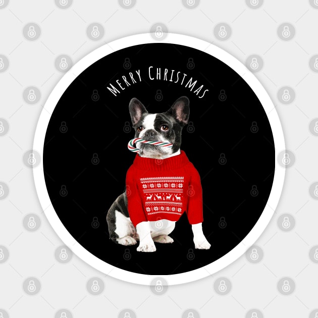 French Bulldog Frenchie Merry Christmas Magnet by Collagedream